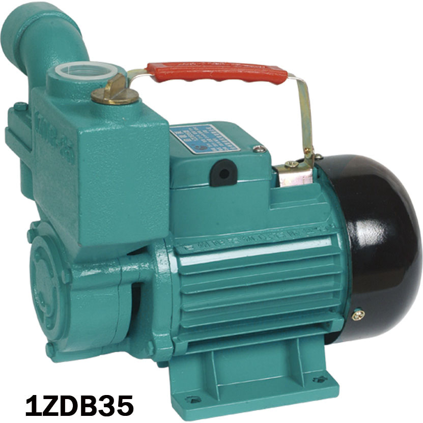 Portable Water Pump
