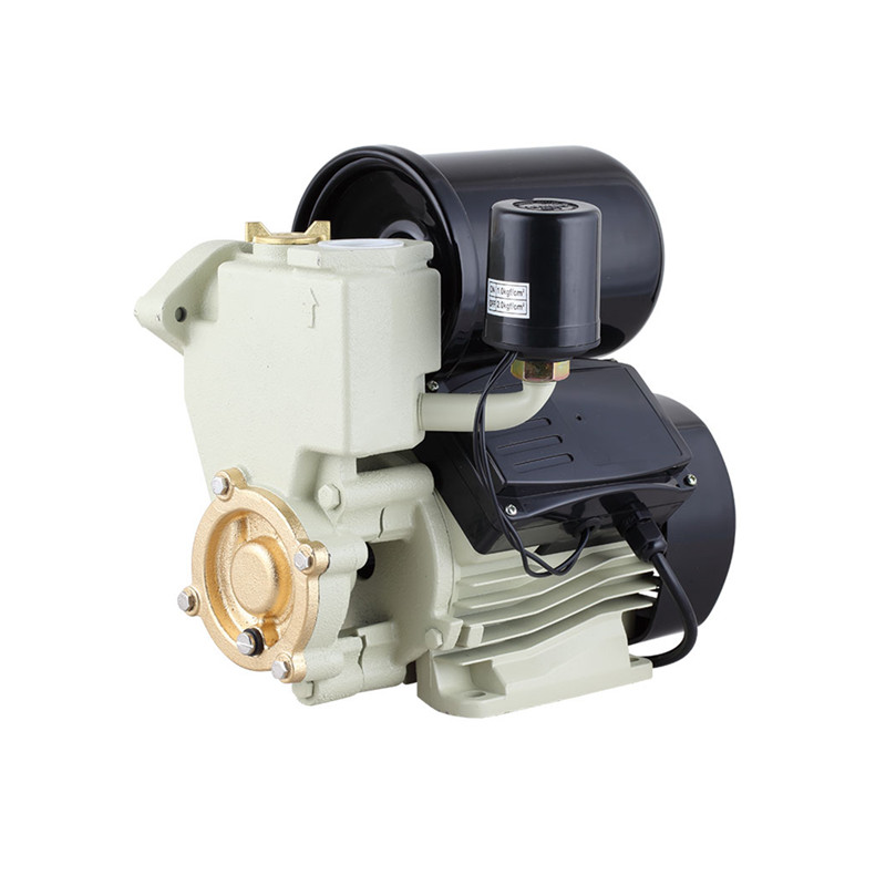 1HP Electric Water Pump for Philippine Marked - Image 3