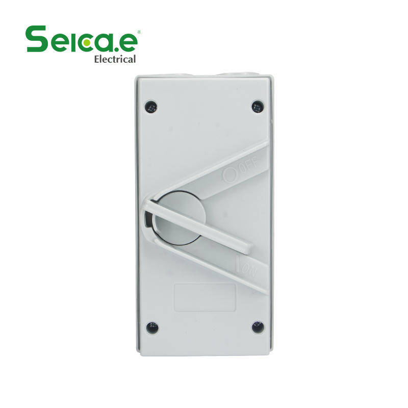 1pole 2poles 3poles 4poles IP65 Outdoor Weatherproof Isolator Switches - Image 2