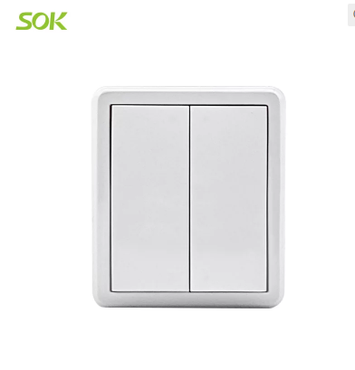 2-Gang 1-Way Surface-Mounted Light Switch