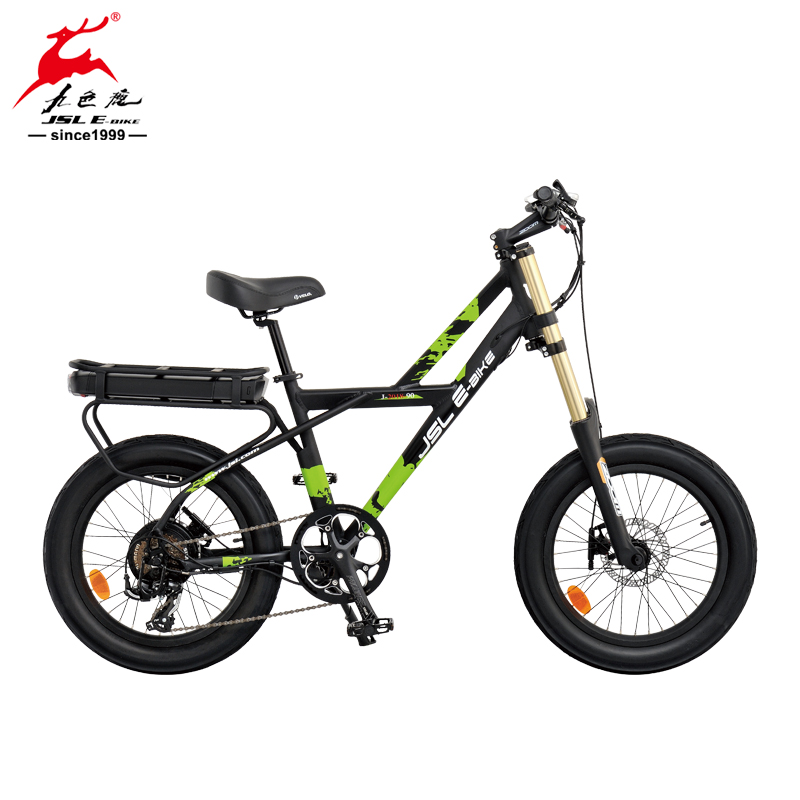 20" Al Alloy Rear Motor Beach Tires Electric Bicycle - Image 3