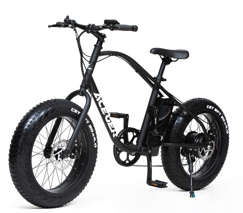 20" cool man fat tire electric bike - Image 3