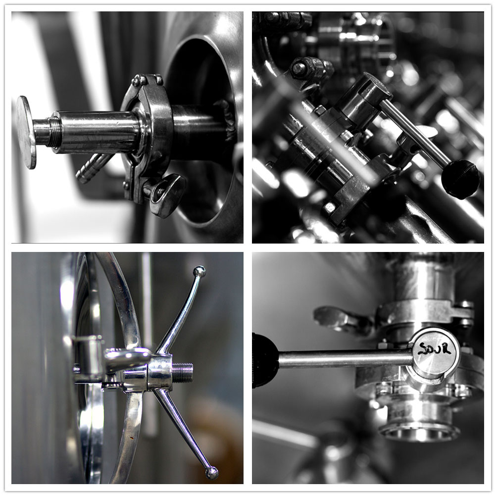 Detail of sanitary valves and process piping