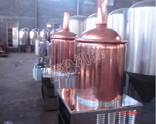 200L micro beer brewery equipment - Image 4
