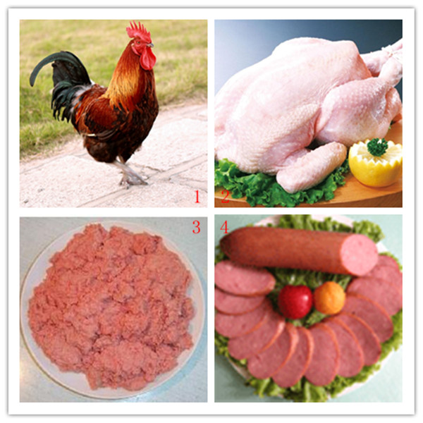 Stainless Steel Chicken Meat Separator