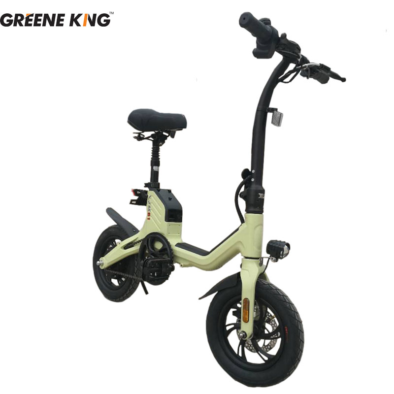 Adult Electric Bicycle with Lithium Battery