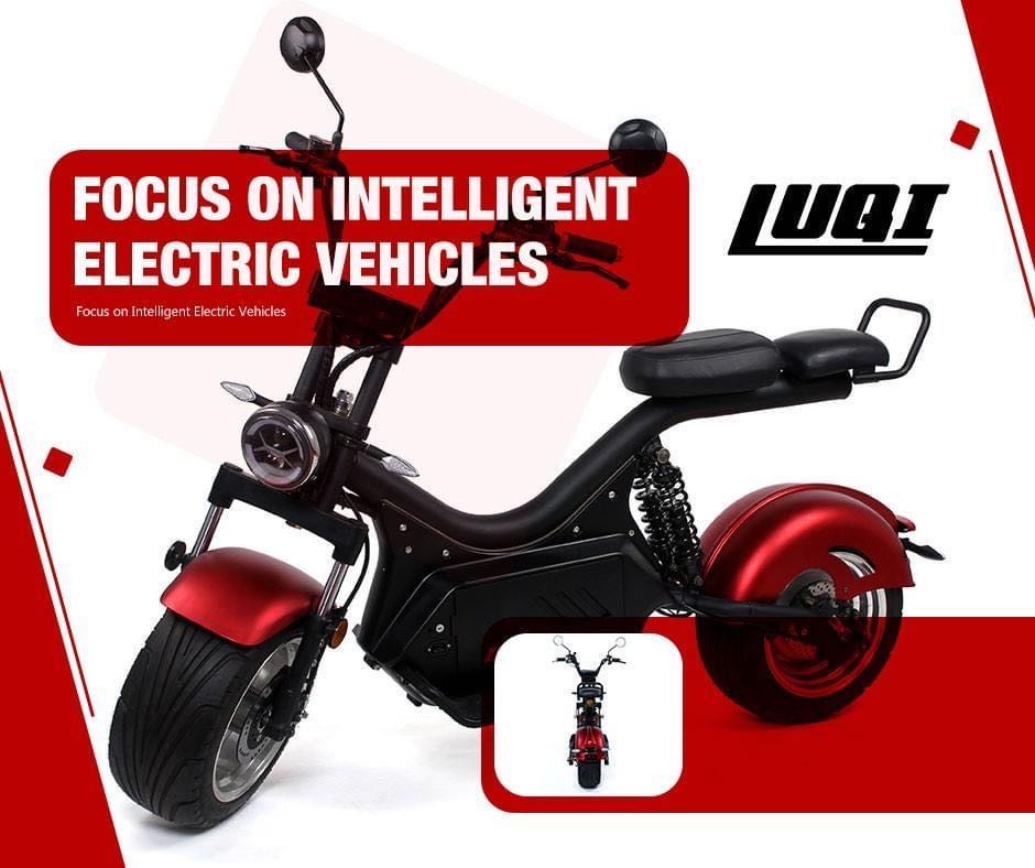2020 Best Sale Extended Range Fat Tire Adult Electric Motorcycle with USB - Image 2