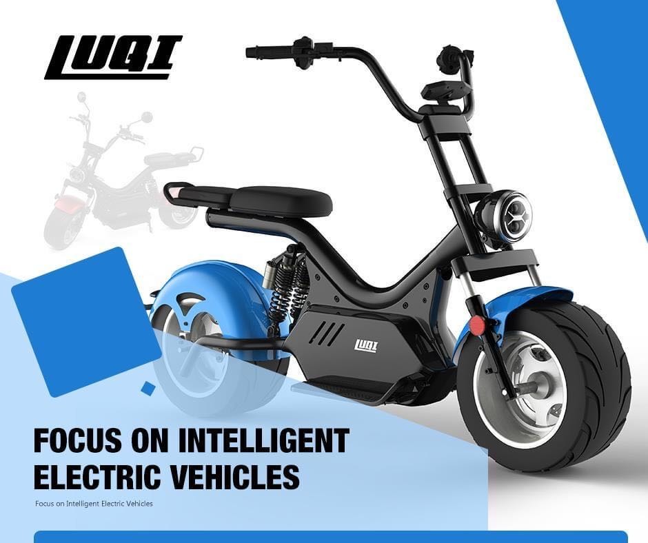 Adult Electric Motorcycle with Fat Tires and USB Charging