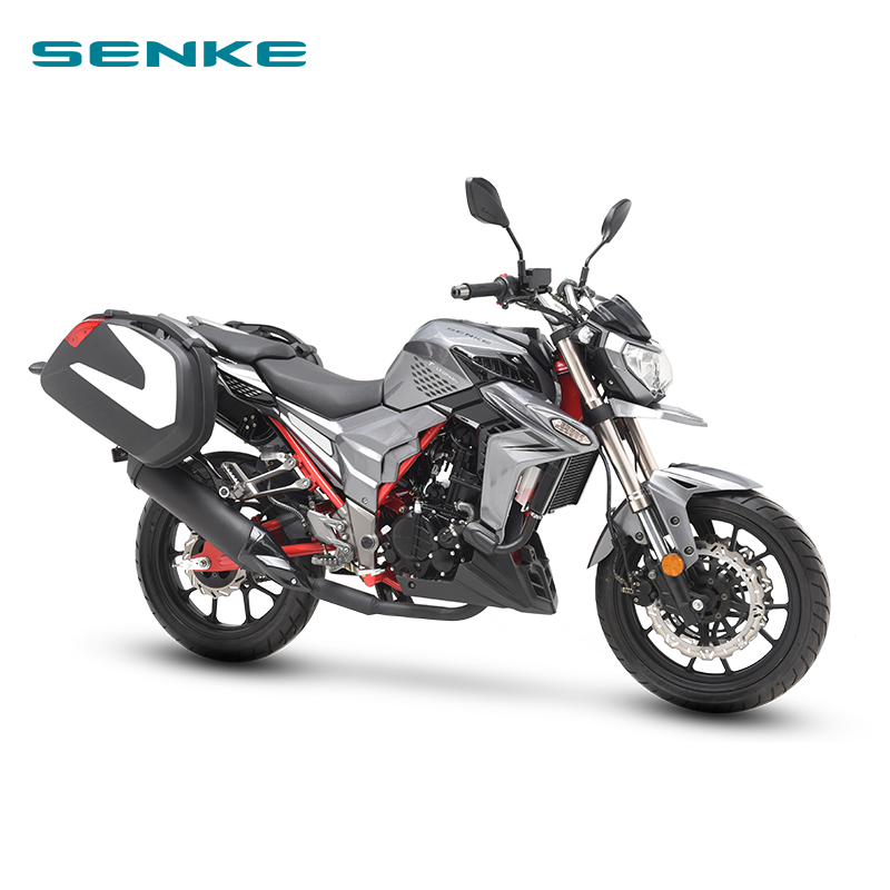 2020SENKE 300ccADV T-leopardSK300 - Image 3