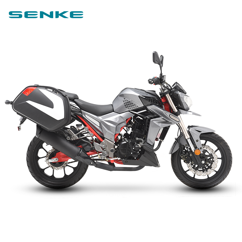 2020SENKE 300ccADV T-leopardSK300 - Image 2