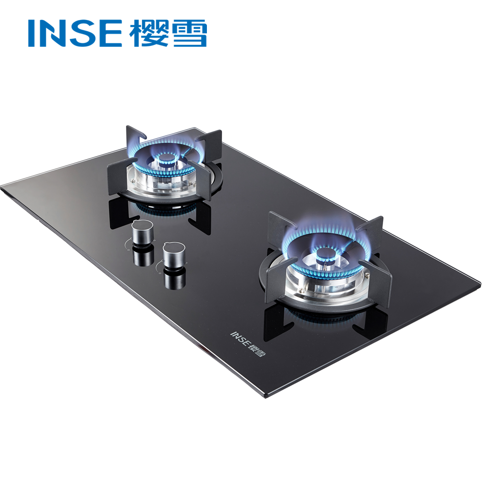 Portable Two-Burner Gas Stove