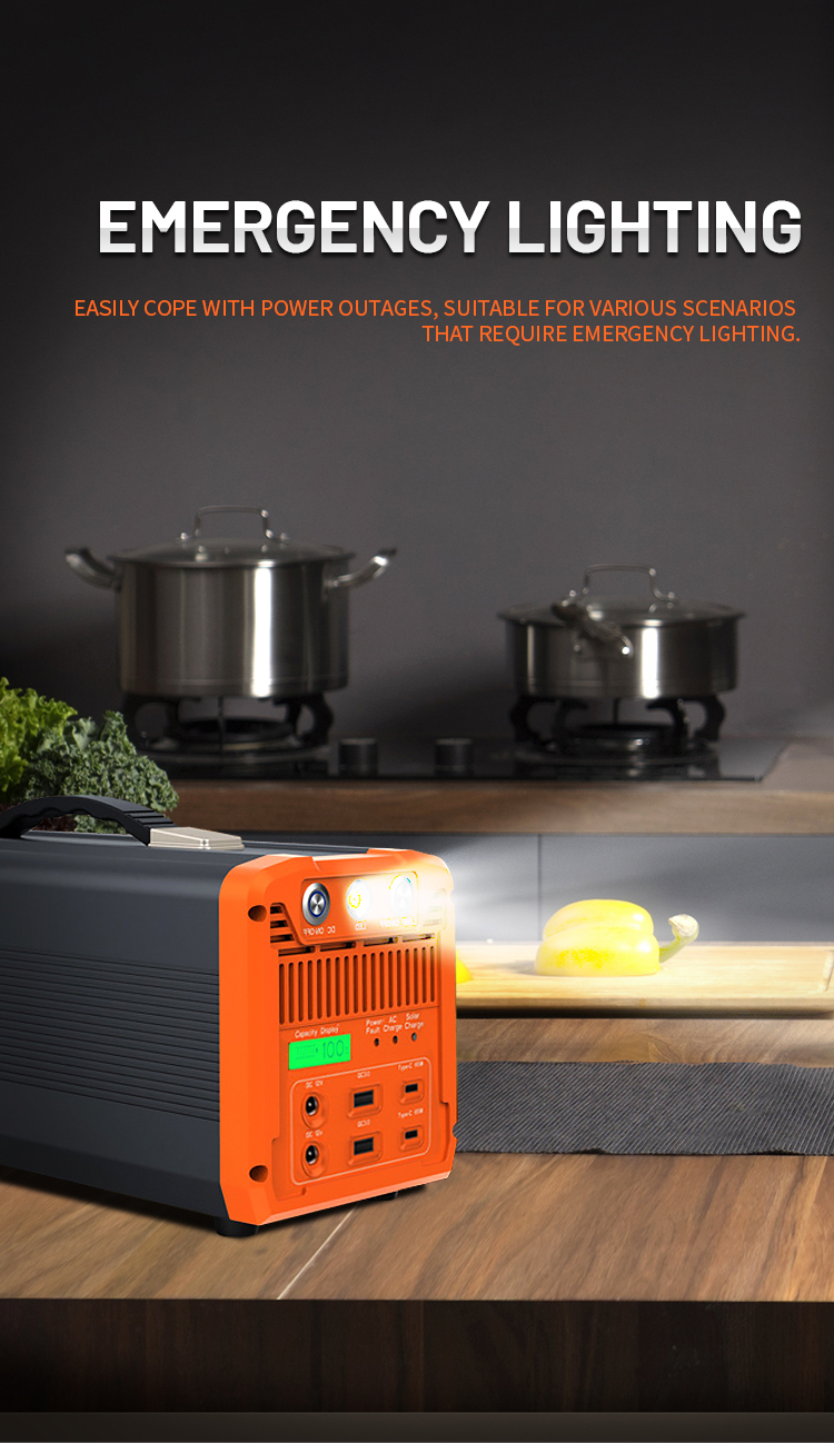 Emergency lighting and capacity display interface