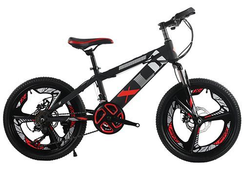 20”BICYCLE - Image 3