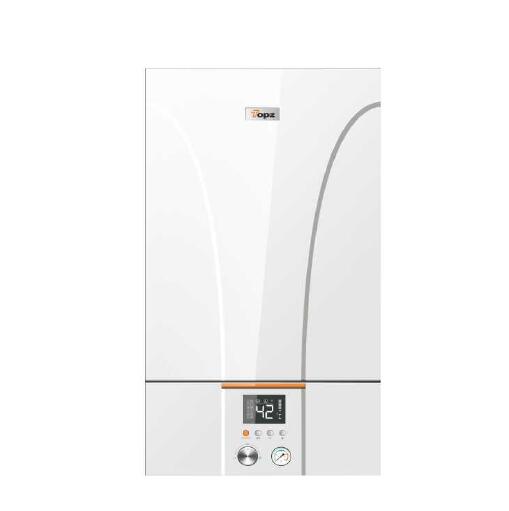 20KW China Manufacturer Wall Hung Gas Boiler - Image 3