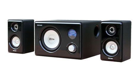 2.1 Channel Speaker System with Subwoofer