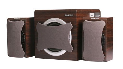 2.1 Channel Speaker System with Subwoofer