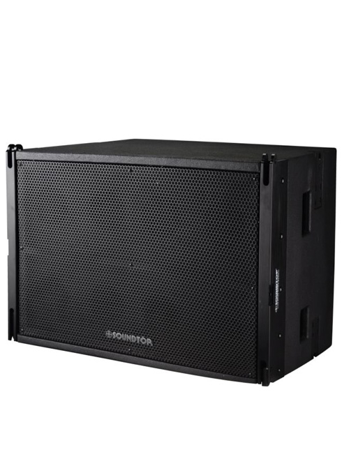Dual 10-Inch Line Array Speaker System