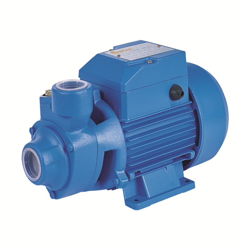 220V /60HZ Electric 0.75HP Water Pump for Philippine Marked - Image 3