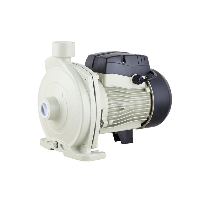 220V /60HZ Electric 0.75HP Water Pump for Philippine Marked - Image 2