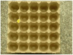 Molded Pulp 25-Egg Tray