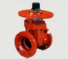 250 PSI AWWA C509 Gate Valve