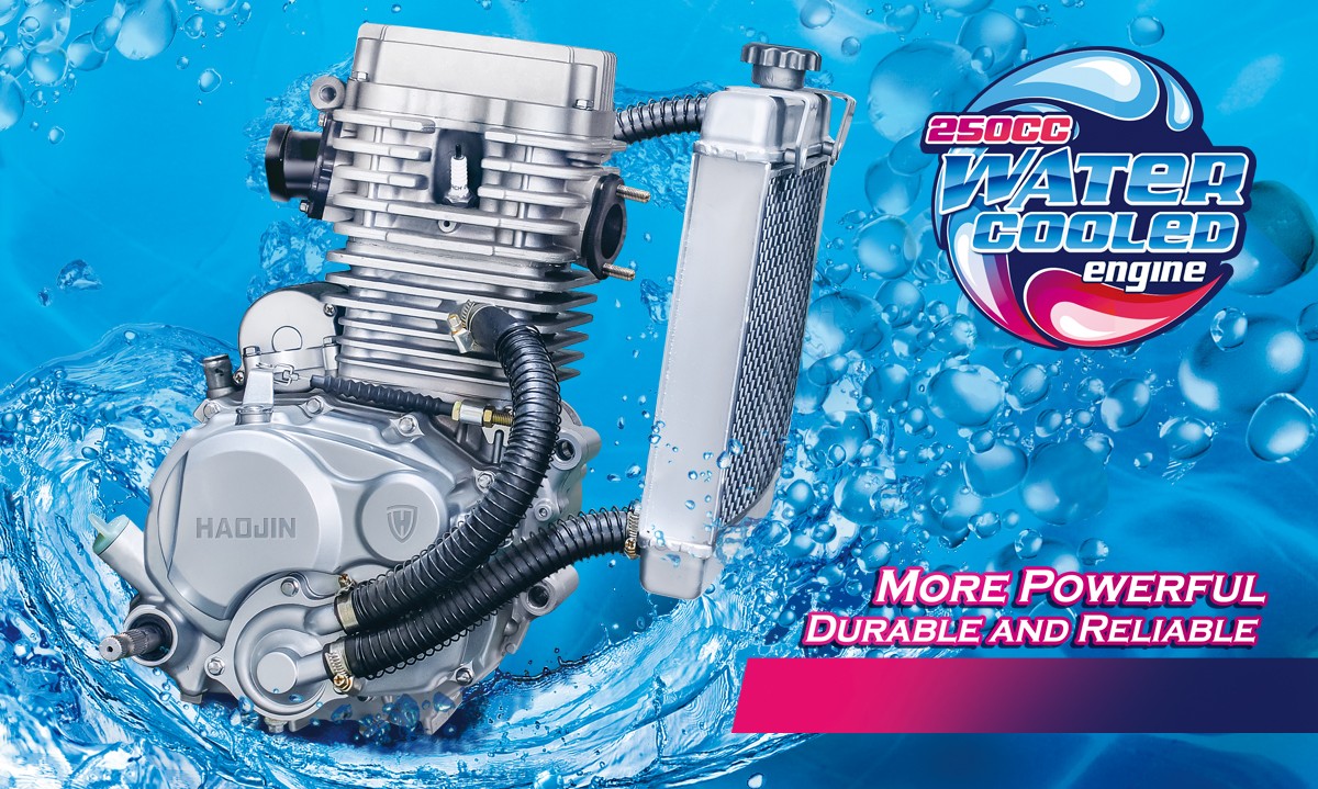 250CC Water-Cooled Motorcycle Engine
