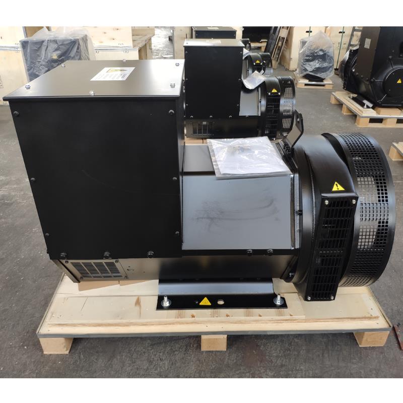 250 KVA 200 KW Brushless Alternator