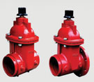 Resilient Seated Gate Valve