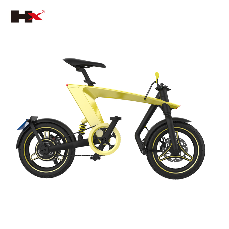 250W Foldable Electric Bike with Removable Battery