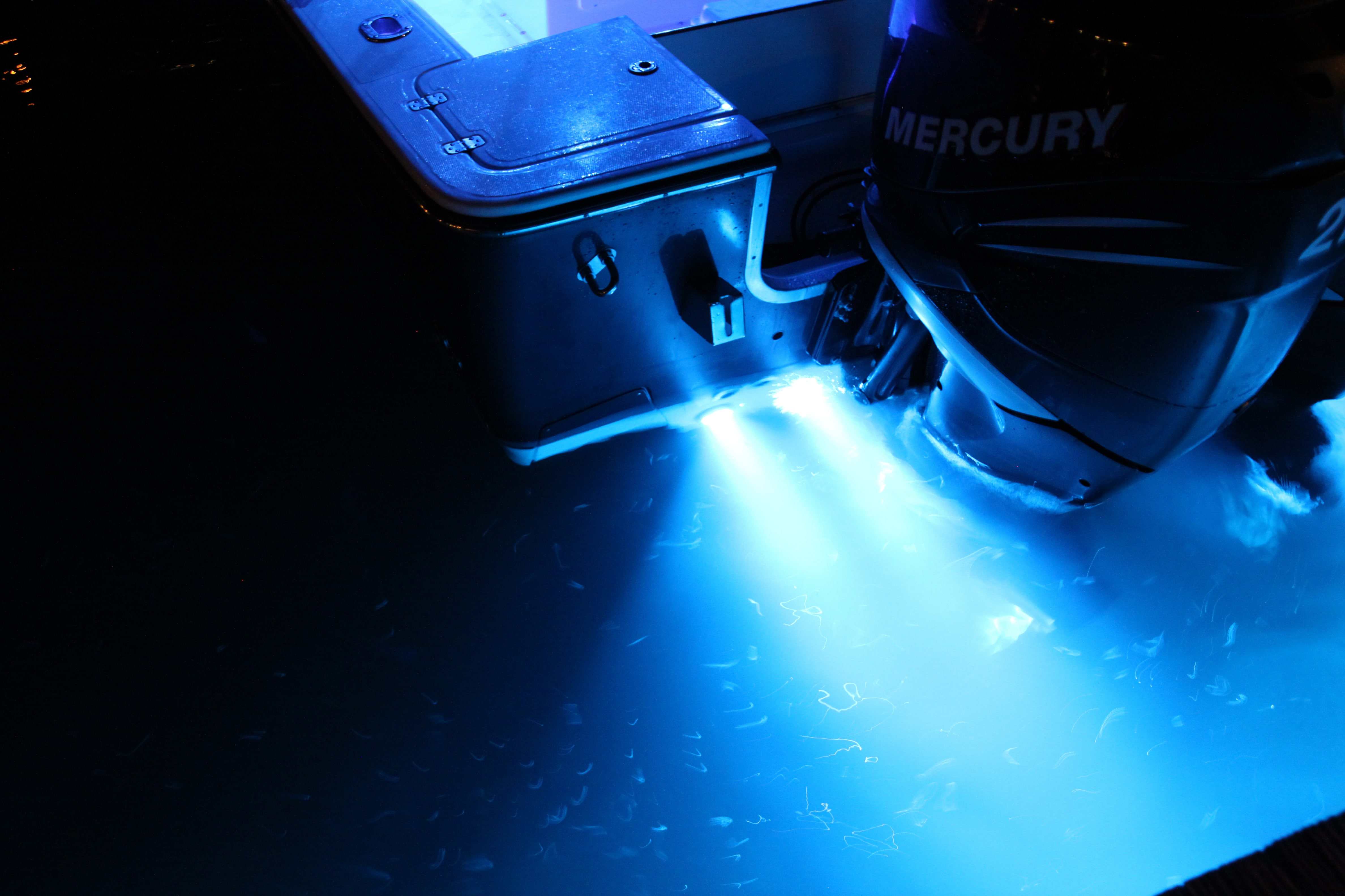 Marine underwater light application on a motorboat