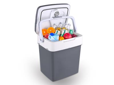 29L Portable Car Fridge with Digital Display