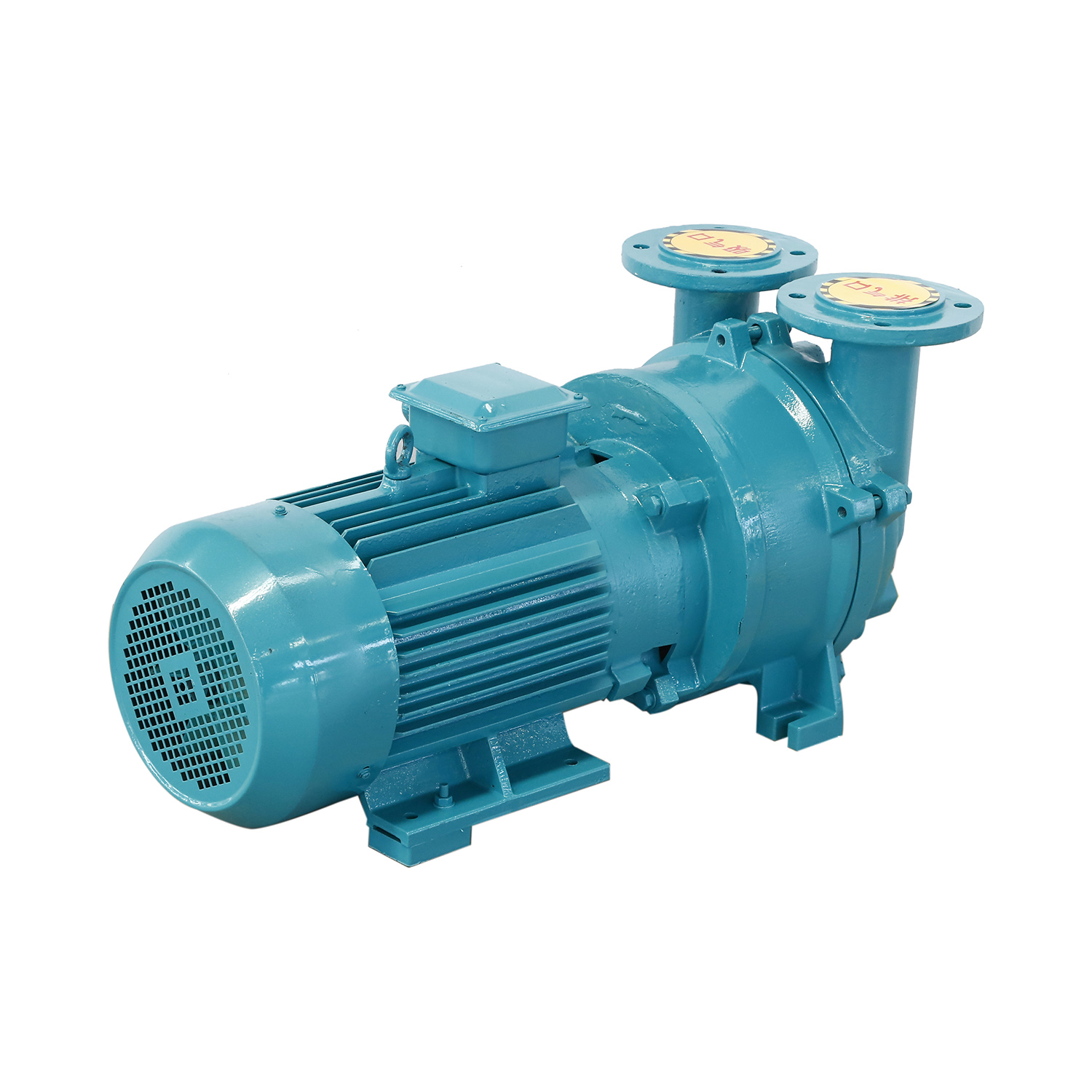 2BE water ring vacuum pump - Image 2