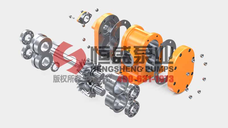 Exploded view of 2CY gear pump components