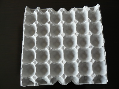 Molded Pulp 30-Egg Tray