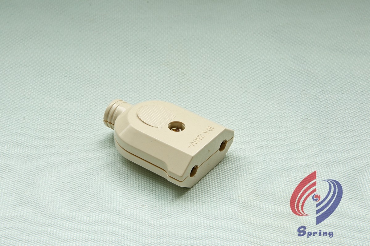 European Standard 2-Pin Plug 10A 250V