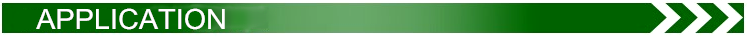 Application icon