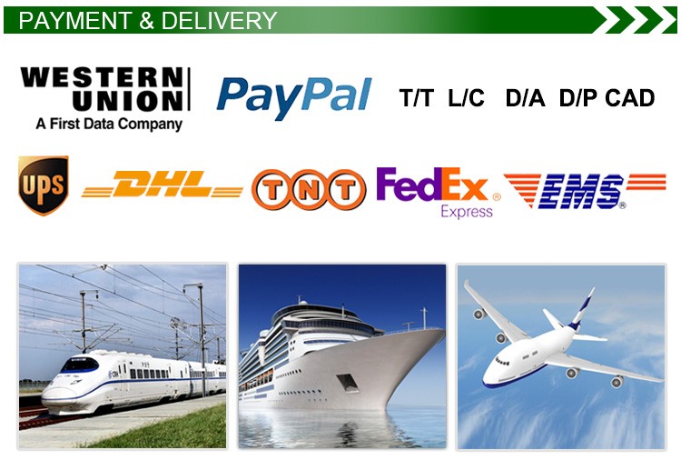 Payment and delivery methods