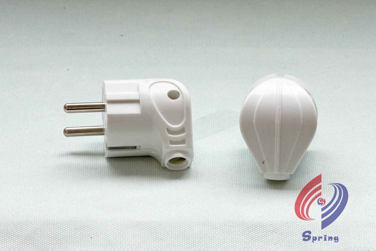 Two-Pin Electrical Plug