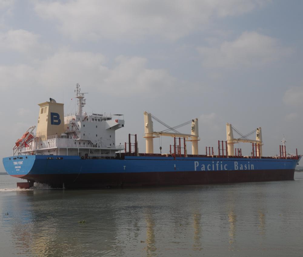 32,500DWT Timber Carrier - Image 2