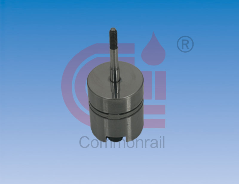 Common Rail Diesel Fuel Delivery Valve