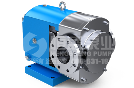Cam Rotor Pump