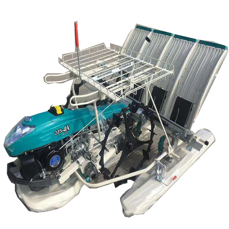 4-row walking rice transplanter in a field