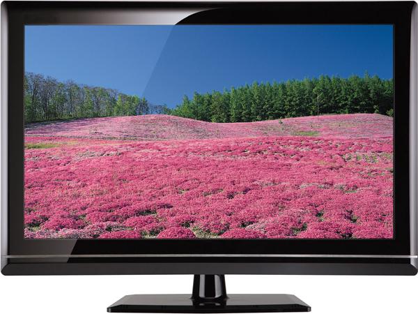 42-Inch LCD Television