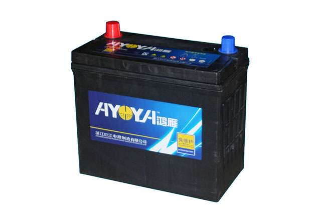 12V Automotive Lead-Acid Battery