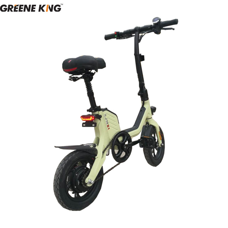 Adult Electric Bicycle with 48V Lithium Battery