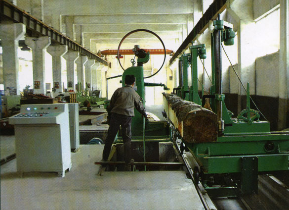 Industrial Band Saw with Carriage