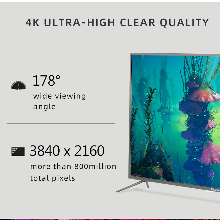 4K Ultra-High Definition Display