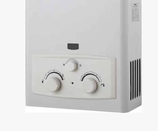 5L Flue Type Gas Water Heater