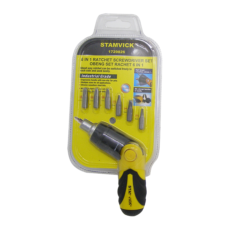 6-in-1 Ratchet Screwdriver Set with Bit Storage
