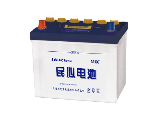 12V Automotive Lead-Acid Battery